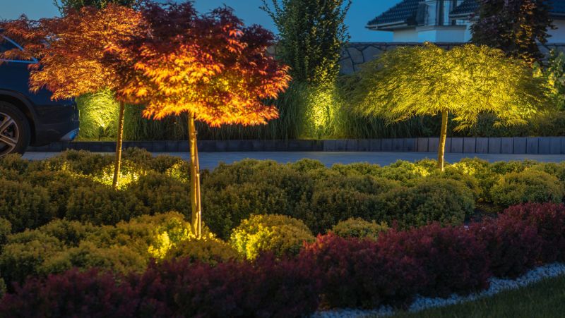 Local Landscape Lighting Installation in Pleasant Grove, UT
