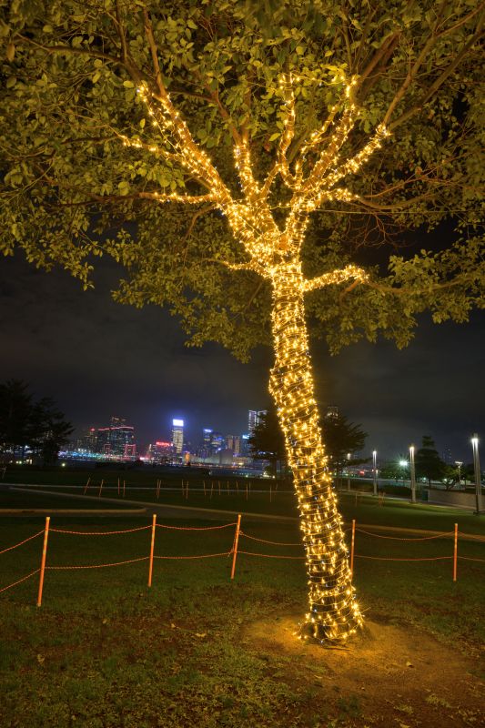 Holiday and Event Lighting