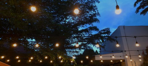 Exterior Lighting Placement